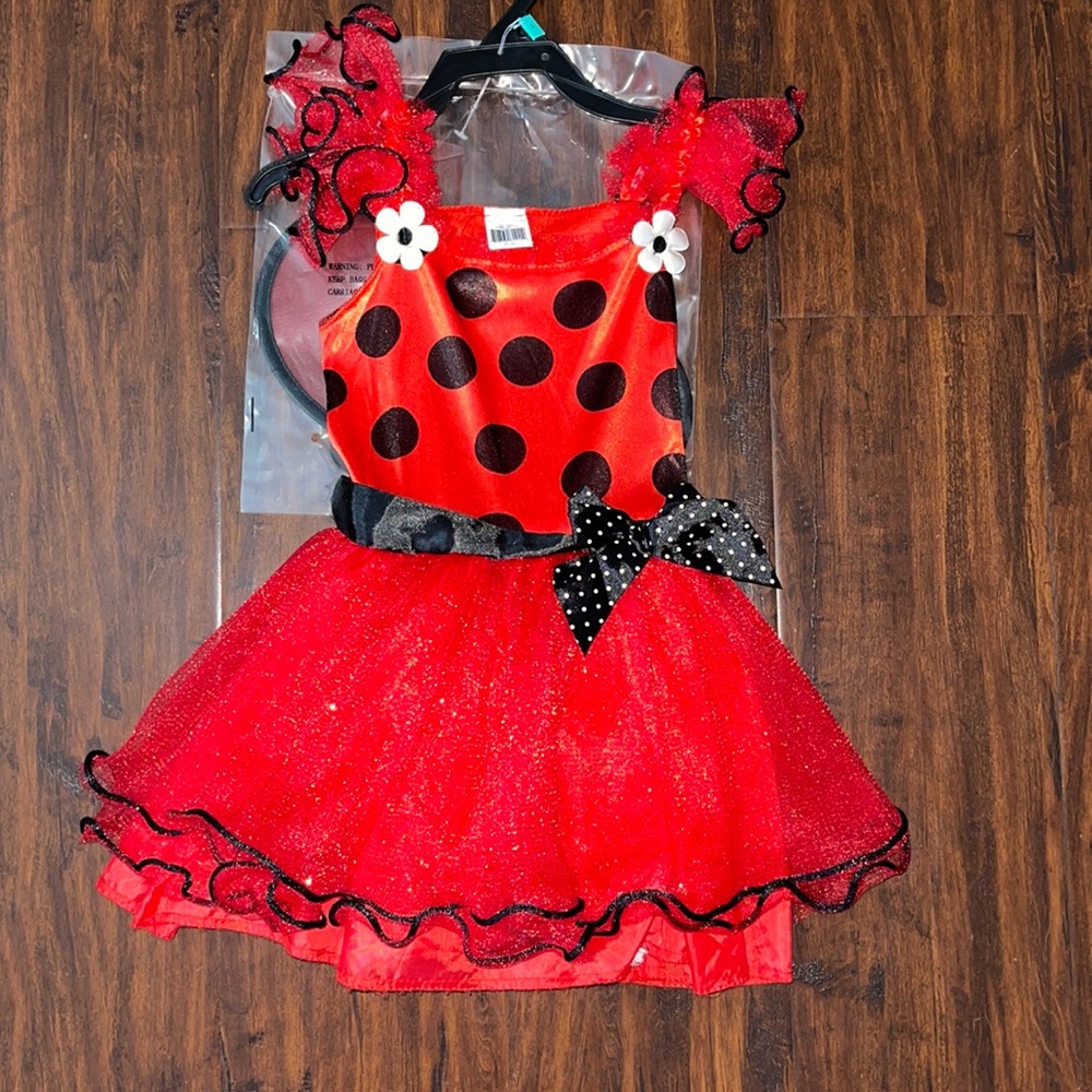 Little Girl Lady Bug Dress